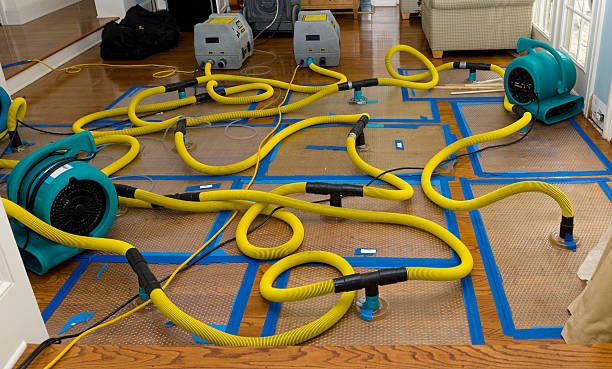 Professional Water Damage Restoration technician working in Westfield, IA